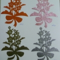 CPA5916col.1-4