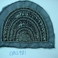 CPA5981