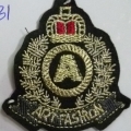 CPA6031