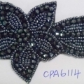 CPA6114