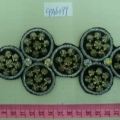 CPA6399