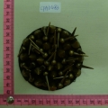 CPA6483
