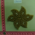 CPA6655