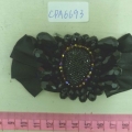CPA6693