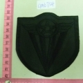 CPA6754