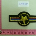 CPA6801