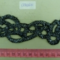 CPA6831