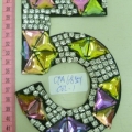 CPA6851