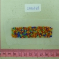 CPA6858