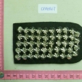 CPA6867
