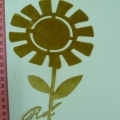 CPA7024