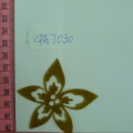 CPA7030
