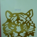 CPA7034