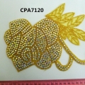 CPA7120