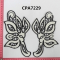 CPA7229