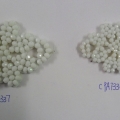 CPA7337-38