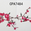 CPA7484