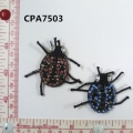 CPA7503
