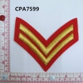 CPA7599
