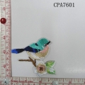 CPA7601