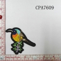 CPA7609