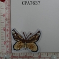 CPA7637
