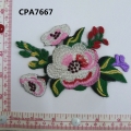 CPA7667