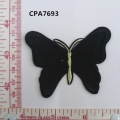 CPA7693