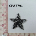 CPA7791