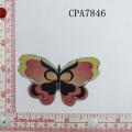 CPA7846