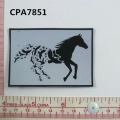 CPA7851