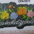 CPA7877