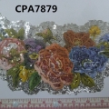 CPA7879