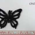 CPA7900