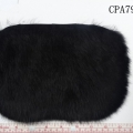 CPA7919