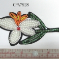 CPA7928