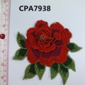 CPA7938