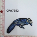 CPA7952