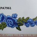 CPA7961