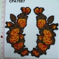 CPA7987