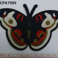 CPA7989