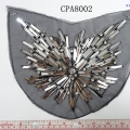CPA8002