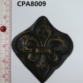 CPA8009