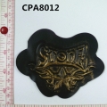 CPA8012