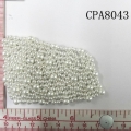 CPA8043