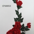CPA8053