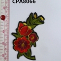 CPA8066