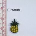 CPA8081