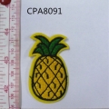 CPA8091