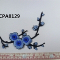 CPA8129
